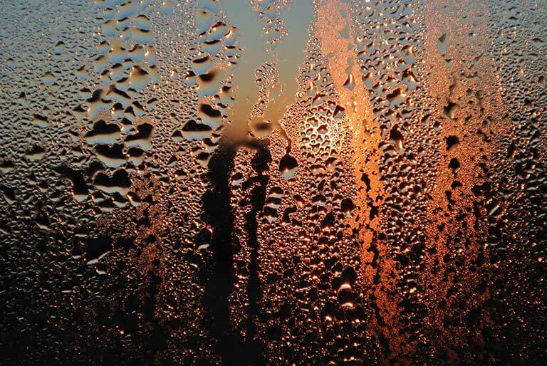 Condensation - Alison Bruce Property Management LTD - Alison Bruce Property Management LTD